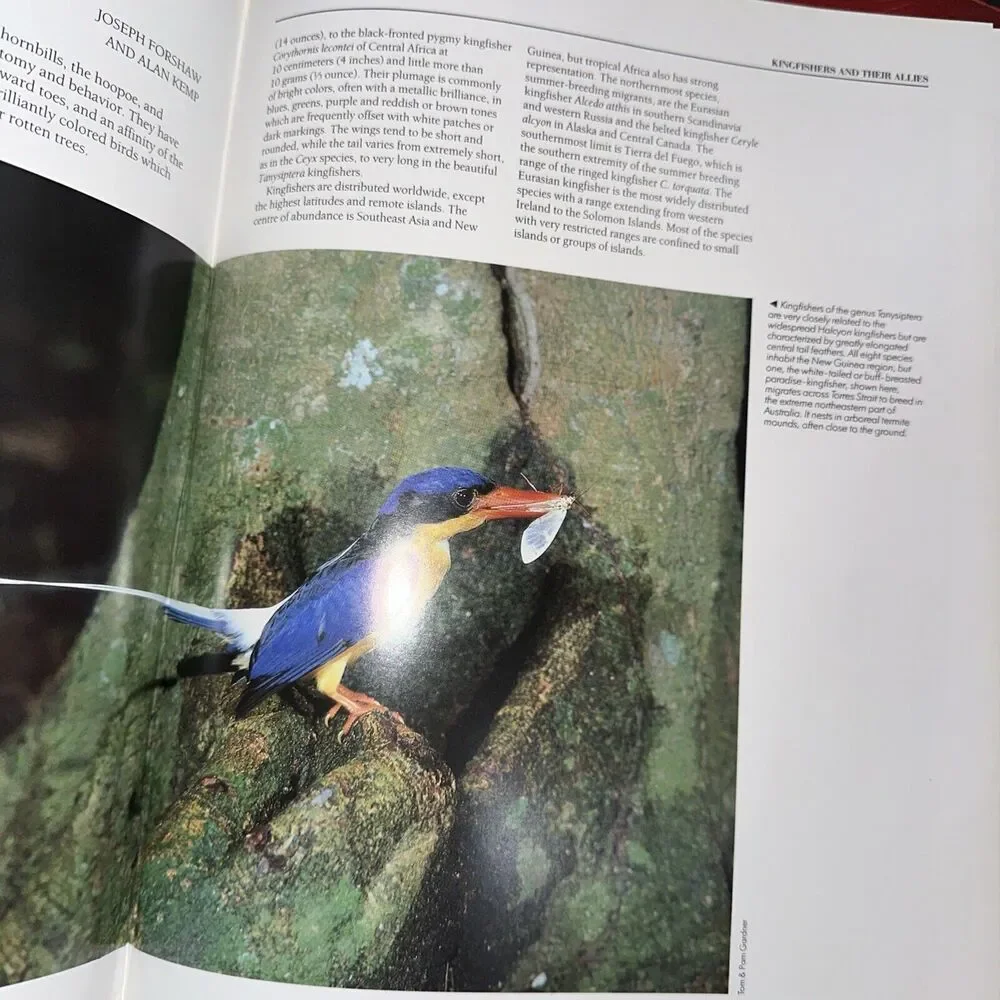 The Encyclopedia of Birds by Per‎ Christiansen (1991, Hardcover) Coffee table